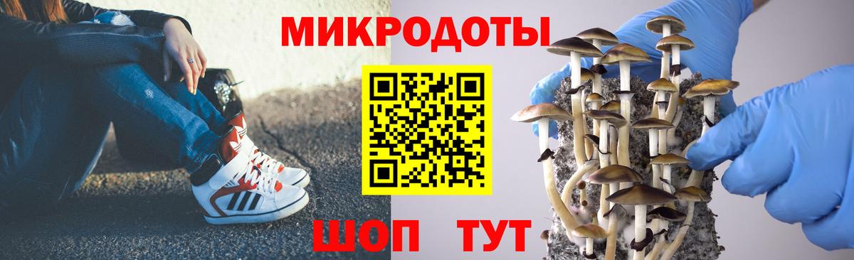 Галлюциногенные грибы мицелий Саки
